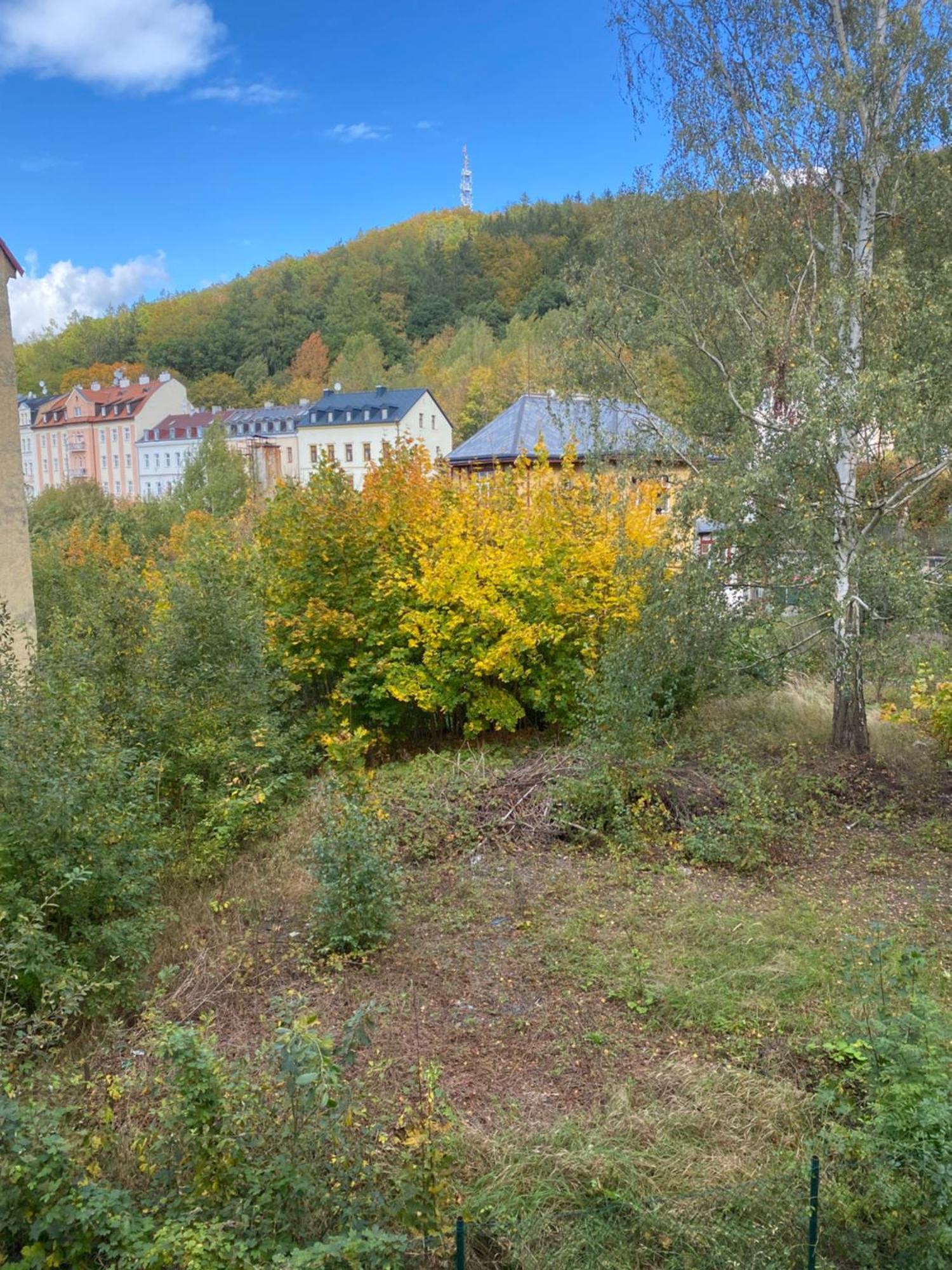 Apartmentscarlsbad Карлови Вари Екстериор снимка